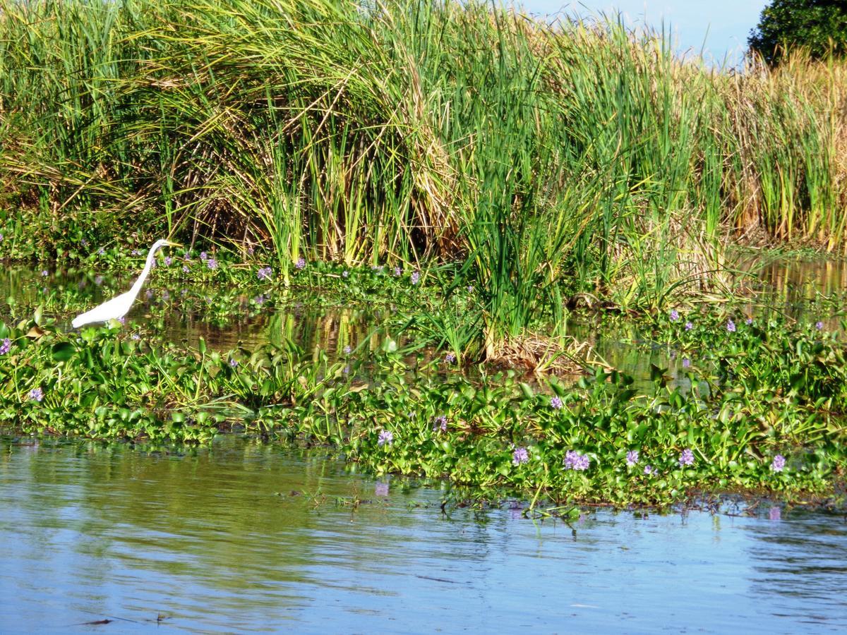 Marbella Eco Lodge Monterrico Eksteriør bilde